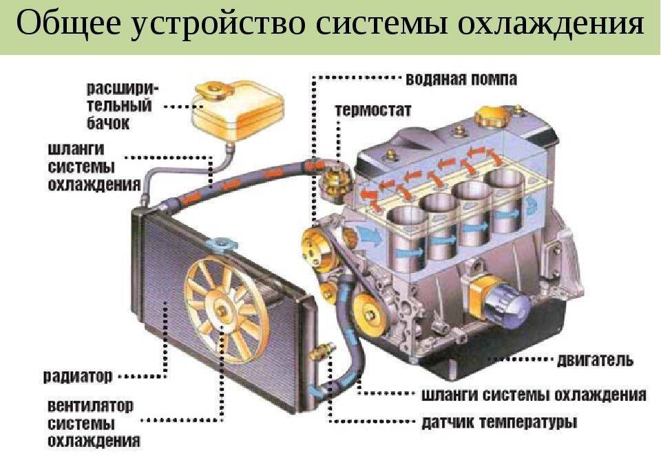 Стандарты рабочей температуры дизельного мотора | avtotachki