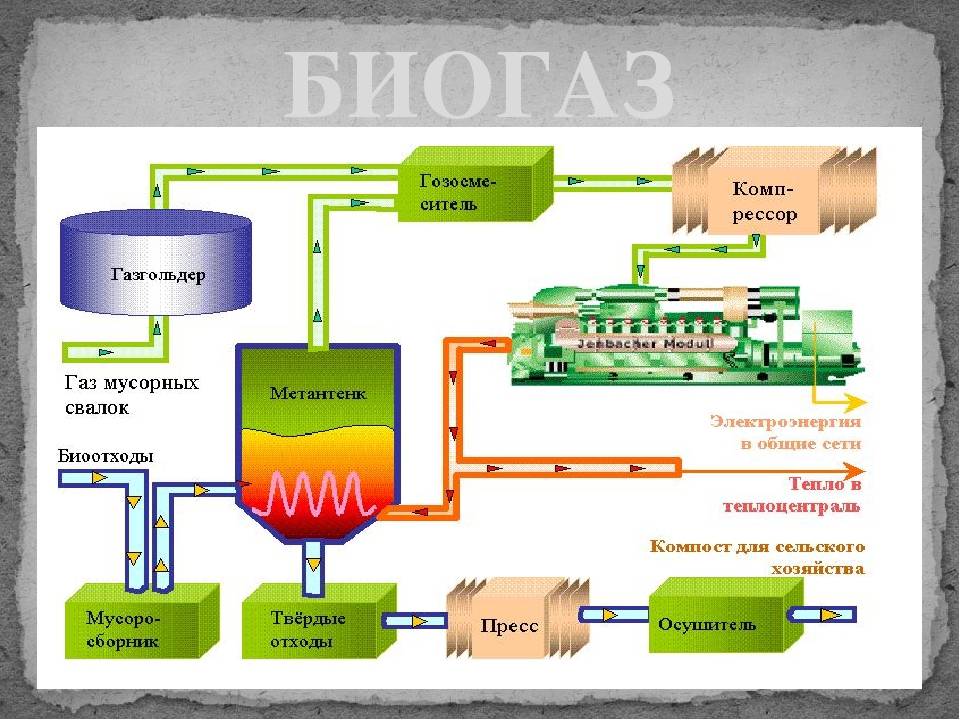 Что такое биотопливо, его виды и преимущества