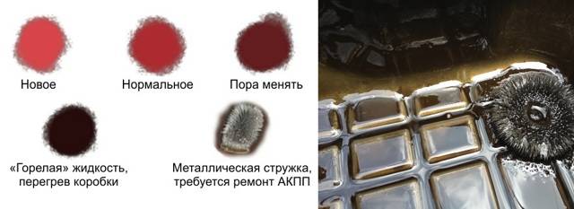 Как узнать какое масло залито в акпп ~ sis26.ru